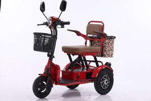 3 Speed Electrical Motorcycle <strong>Motorbike</strong> <strong>Side</strong> <strong>Car</strong> Three Wheel Electric Tricycle with 500W Motor and Lead Acid Battery for Adults - Product Image 2