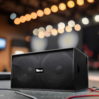 Système audio Nuoxun S218+ avec deux caissons de basses de 18 pouces, système audio professionnel pour DJ, musique, haut-parleur ultra-bas, performance sur scène, extérieur