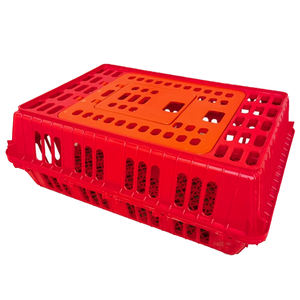 Boîte de <span class=keywords><strong>transport</strong></span> de poulet vivant <span class=keywords><strong>Cage</strong></span> de <span class=keywords><strong>transport</strong></span> de volaille en plastique pour pigeon poulet de chair poussin canard-pour Cages pour animaux - Product Image 2