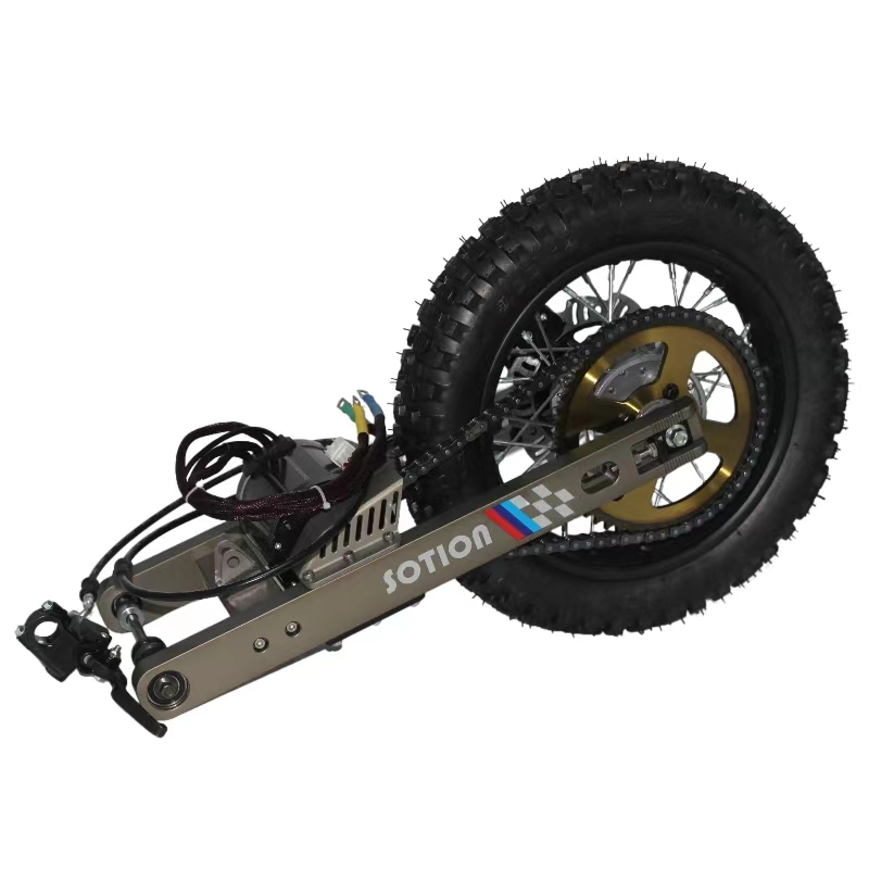 オリジナルThe Man From Delmonte - 12インチ2枚セット CHANCS 895 Double Shaft Motor DC 12V 6000RPM DC 24V 12000RPM