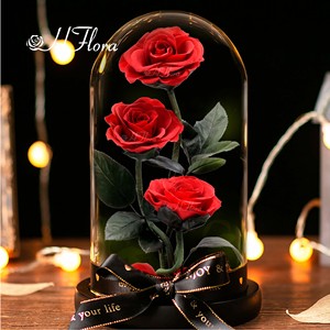 Caja de Rosas Preservadas al por Mayor, Regalo para el Día de San Valentín y el Día de la <span class=keywords><strong>Madre</strong></span>, Ramo de Rosas Eternas en Cúpula de Cristal para Decoración del Hogar y Regalos - Product Image 4