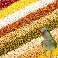 Mélange de graines mélangées de sorgho cinq couleurs pour oiseaux perruche inséparable