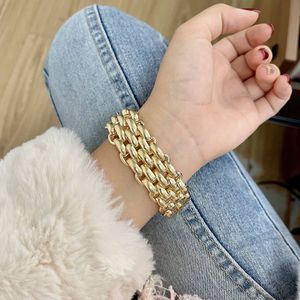 Pulsera de Cadena Gruesa Dorada de Aleación de Zinc, Joyería de Moda Unisex - Product Image 1