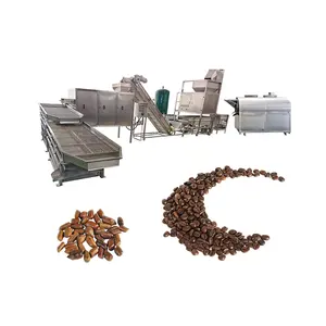 Almond Nuts Roasting Peanut Frying Production Line Automatic Fried Nuts Processing Line