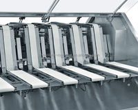 Machine de comptage et d'emballage automatique de biscuits en bâtonnets pour gobelets, sachets et cartons – Emballage papier/plastique haute précision
