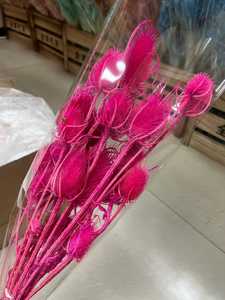 Tiges de chardon (Eryngium) séchées et préservées, fleurs séchées faites à la main, longue durée (3-5 ans), pour la fête des mères, la remise des diplômes, le Nouvel An - Product Image 3