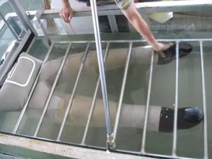 מגפי חזה מבודדים ועמידים למים לדייגים וציידים - Product Image 5