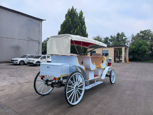 Charrette à chevaux électrique, calèche royale tirée par des chevaux, transport spécial, chariot <span class=keywords><strong>de</strong></span> <span class=keywords><strong>mariage</strong></span>, calèche à chevaux pour <span class=keywords><strong>location</strong></span> - Product Image 5