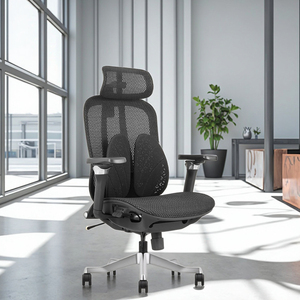 2025 New Arrival Adjustable Armrest Full Mesh Ergonomic <b>Office</b> <b>Chair</b> With Big Lumber <b>Support</b> Z-E2518HG Ergonomic <b>Office</b> <b>Chair</b> Z- - Product Image 6