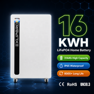 แบตเตอรี่ LiFePO4 51.2V 16kWh 314Ah IP65 พร้อมระบบจัดการแบตเตอรี่อัจฉริยะ (BMS) 200A รองรับการเชื่อมต่อแบบขนาน สำหรับระบบพลังงานแสงอาทิตย์  โรงงานผลิตโดยตรง - Product Image 1
