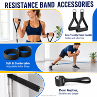 Juego de 11 Bandas de Resistencia de TPE con Asas y Anclaje para Puerta, para Entrenamiento de Fuerza en Casa, Venta al Por Mayor
