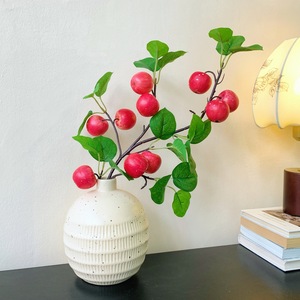 Qingyu Chronicle Branche d'Apple Artificielle Rouge en Mousse Plastique Décoration de Noël Composition de Fruits Taille M - Product Image 1