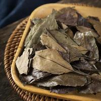 Produits à base de plantes chinoises Dong Qing Ye Holly Leaf, Ilex Chinensis Sims de haute qualité. Ingrédients alimentaires pour les herbes aromatiques et les feuilles de plantes médicinales