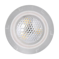 Remplacement pour la lampe LED de piscine et spa Pentair Mini, 12W AC12V 6000K blanc froid IP68, câble sous-marin de 2,5 m, lampe LED pour piscine