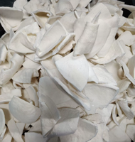 Vente en gros de copeaux de noix de coco séchés 1 kg, fruits secs croustillants, gros morceaux de chair de noix de coco séchée en provenance de Thaïlande