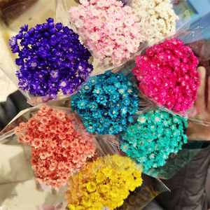 Proveedor Mayorista de Yunnan, Flores Secas Naturales Brasileñas, Mini Margaritas Secas para Manualidades, Personalizadas para el Día de la Madre, San Valentín, Pascua, Floristería - Product Image 5