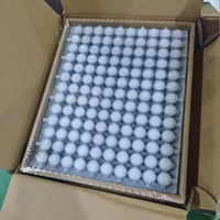 Batería de Iones de Litio de Estado Sólido Cilíndrica 50E Recargable 21700 5000mAh Alta Densidad de Energía 257Wh/kg 1000 Ciclos NCM