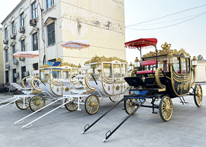 Limusina elegante boda turismo eléctrico carruaje de caballos dorado cuento de hadas carruaje de Victoria para promoción - Product Image 6