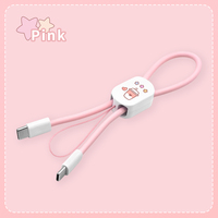 2 en 1 Tipo-c Carga rápida 60W Llavero Múltiples ABS Smartphone Teléfono móvil Fecha celular Cable de teléfono con cordón para Iphone