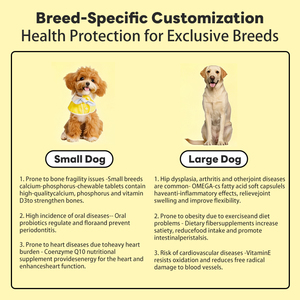 مصنع الجملة لينة مضغ الحيوانات الأليفة المكملات الغذائية 11 في 1 الفيتامينات للحيوانات الأليفة الكلب فيتامين ملحق الصحة - Product Image 3