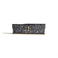 Module de mémoire RAM de bureau KANAGA SH DDR5 6000 CL28 16 Go 32 Go RGB avec puces SK Hynix, bonnes puces, ECC DIMM, pour PC de jeu, dissipateur thermique, en stock
