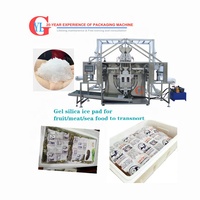 Paquete de hielo granulado de sílice para alimentos de mar, almohadilla absorbente de agua, congelador, máquina de embalaje, Gel de 4 capas, precio de fábrica