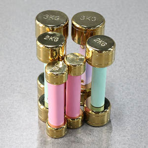 مجموعة دمبل ذهبية مستديرة من الفولاذ من سمارت فيت بوزن 12 كجم مع حامل، وأوزان 1 كجم و2 كجم و3 كجم، مع غطاء مقبض جلدي ملون للنساء والأطفال - Product Image 2