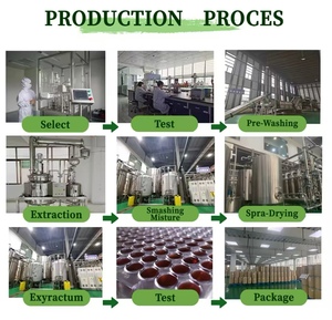 Protéine de lactosérum hydrolysée en poudre VELION <span class=keywords><strong>HYDRO</strong></span> 100, saveur fraise, riche en BCAA, complément alimentaire pour la remise en forme, marque privée OEM - Product Image 5