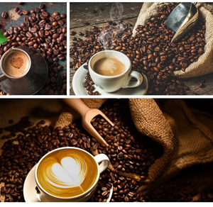 400g Capacity Portable Mini <strong>Coffee</strong> Bean Baking <strong>for</strong> Home Use Electric <strong>Coffee</strong> <strong>Roasters</strong> with Stainless Steel Quartz Glass - Product Image 3