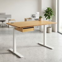 Table d'ordinateur en bambou de qualité supérieure, réglable en hauteur, bureau en bambou massif, bureau debout Ecomax