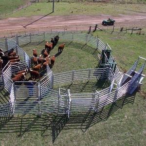 6ft 12ft ağır taşınabilir galvanizli hayvancılık çiftlik Paddock Metal Yard Corral panelleri at koyun paneli sığır arazi paneleri - Product Image 6