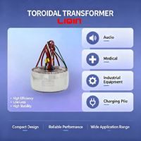 Haute qualité monophasé 50W-5000W entrée 220V sortie 30v 16v transformateur toroïdal pour amplificateur audio