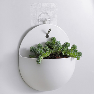 Wall Mounted Hydroponic Flower Pot <b>Plastic</b> Circular Minimalist Design For Indoor Green <b>Plants</b> With Hooks Included - Product Image 3