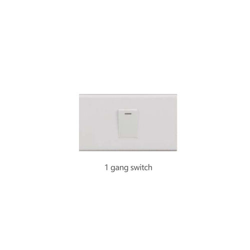 1 gang switch
