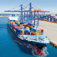 Expédition internationale de fret porte-à-porte fiable avec l'expédition express LCL + Sea Transport