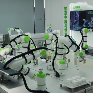 Robot collaboratif de soudage industriel, bras robotisé 9KG 1500mm pour l'entretien des machines - Product Image 3
