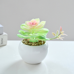 Bonsái Suculento de Cerámica Ecológico de Alta Simulación, Adornos Decorativos para el Hogar, Plantas Artificiales de Jinhua, <span class=keywords><strong>AliExpress</strong></span> - Product Image 6