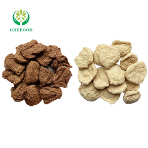 Di alta qualità TVP testurizzato proteine vegetali come carne di manzo fiocco additivi alimentari migliore vendita 60% proteine a basso contenuto di grassi organico per i vegetariani - Product Image 2