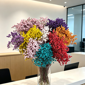 Herbe de cristal préservée en vrac, fleur séchée éternelle, tige naturelle colorée préservée, longue durée de conservation pour accessoire floral fait main - Product Image 2
