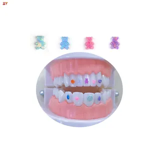 Bijoux dentaires personnalisés accessoires Mini Design synthétique opale colorée perle de dent d'ours