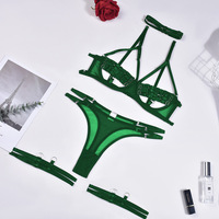 Ensemble soutien-gorge Sexy pour femmes, sous-vêtements Sexy, culotte Bandage, jarretière, robe, soutien-gorge, vêtements exotiques, collection 1219