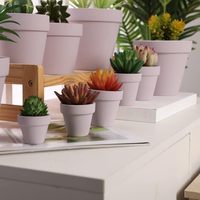 Pots en terre cuite rose de 2,5 pouces avec trous de drainage, écologiques, durables, petits pots en céramique pour cactus et fleurs