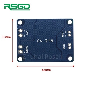 Nsgd Tpa3118 DC8-24V Pbtl 60W Mono Digitale Audio Versterker Board <span class=keywords><strong>CA</strong></span>-3118 Smd Hoge Kwaliteit - Product Image 2