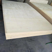 Planches d'emballage multicouches en contreplaqué peuplier et caisses/palettes en bois, planches de sous-couche sans fumigation, réductions en gros depuis la Chine