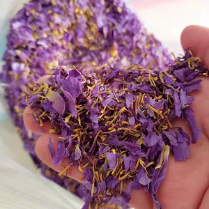 500g çin online tedarik orijinal premium keser saf kurutulmuş mavi lotus çiçekleri yaprakları ve stigma kırık parçaları