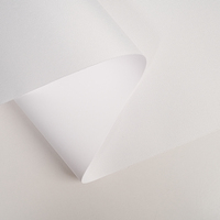 Toile en polyester mate 260GSM compatible avec Epson, Canon, HP pour impression jet d'encre, toile d'art décorative
