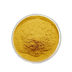 <span class=keywords><strong>Bacopa</strong></span> Bột Chiết Xuất Lá <span class=keywords><strong>Monnieri</strong></span> 20% - 50% Bacosides UV <span class=keywords><strong>HPLC</strong></span> - Product Image 3