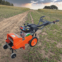 Machine de coupe d'herbe à usage portable Désherbage Type de roue Essence/Diesel Mini tondeuse à gazon Machines agricoles