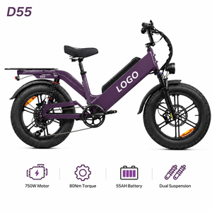 Bicicleta Eléctrica de Carga D55, 750W/1000W, 48V 55Ah, Llanta Gruesa de 20 Pulgadas, Doble Suspensión, Cuadro de Aluminio, Bicicleta de Reparto - Product Image 1