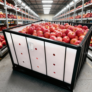 Panel hueco de PP, divisor de almacenamiento en frío de manzana, revestimiento de caja de plástico para jaula de malla de alambre, organización, protección de productos agrícolas - Product Image 2